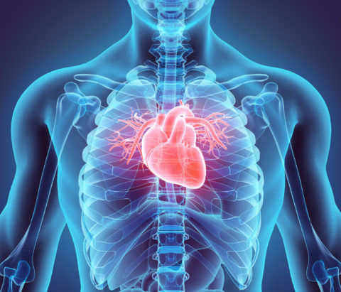 Arrhythmias | Types, Pathophysiology, Diagnosis, Treatment | Oruen ...